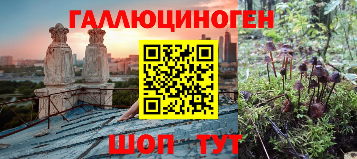 Псилоцибиновые грибы MAGIC MUSHROOMS  Вход с VPN  Галлюциногенные грибы ЛСД  Назрань 