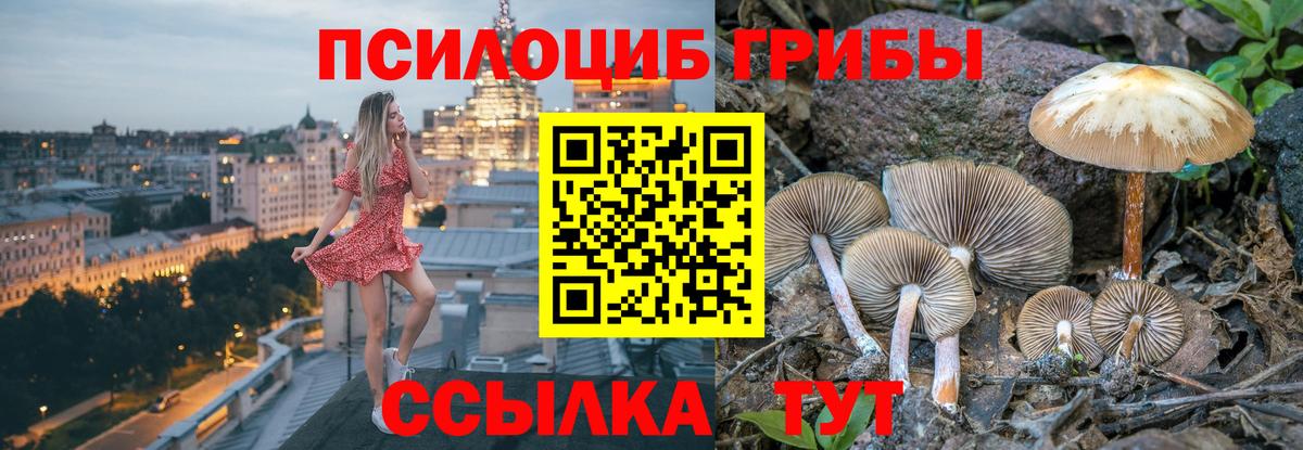 Псилоцибиновые грибы Psilocybine cubensis Назрань